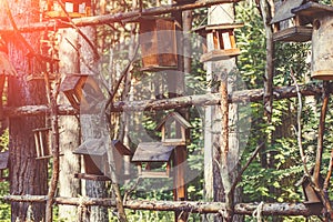 Wooden bird houses, nesting box on tree in forest