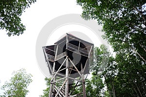 Wooden bird watching tower in Mangrove Forest in Thailand