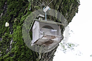 Wooden birdfeeder