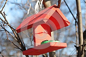 Wooden birdfeeder with roof for birds and animals in the city park