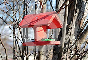 Wooden birdfeeder with roof for birds and animals in the city park