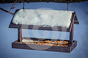 Wooden Birdfeeder on a tree in winter