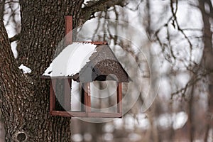 Wooden Birdfeeder on a tree in winter. High quality photo