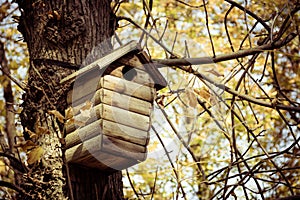Wooden birdhouse in autumn park