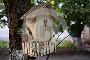 Wooden birdhouse, bird house