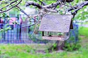 Wooden birdhouse feeder hanging on a branch of a blossoming apple tree