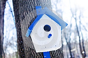 Wooden birdhouse hanging