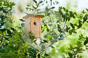 Wooden Birdhouse Hanging In The Tree