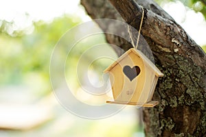 Wooden birdhouse hanging from tree in autumn garden. Concept for new home. A bird house or bird box in summer sunshine with natura