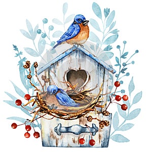 Wooden birdhouse with nest and family blue bird. Flowers for home comfort. Winter Christmas and Easter decor. Hand drawn