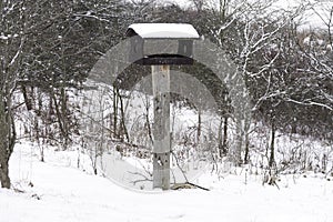 Wooden birdhouse on a pole covered with snow during a winter storm in a forest wilderness area