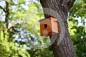 Wooden birdhouse on a tree in a summer park