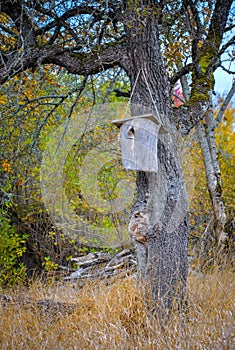 Wooden birdhouse on tree trunk. Autumn rural landscape