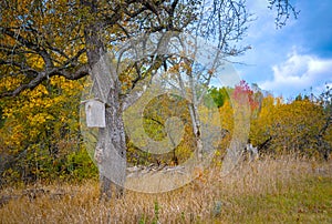 Wooden birdhouse on tree trunk. Autumn rural landscape