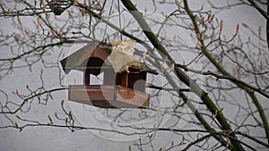 Wooden birdhouse on a tree in the village