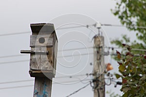 Wooden birdhouse weighs on a wooden post with electric wires in the countryside.