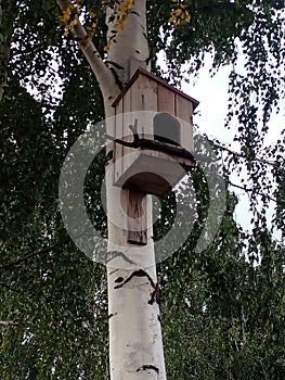 Wooden birdhouse on a white birch trunk