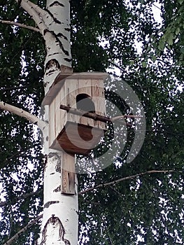 Wooden birdhouse on a white birch trunk