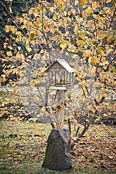 Wooden birds feeder