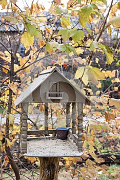 Wooden birds feeder