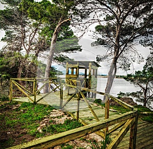 Wooden birdwatching cabin by the water