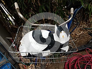 Wooden black and white cat in metal bike basket