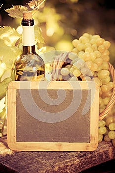 Wooden blackboard blank, wine bottle and grapes of vine