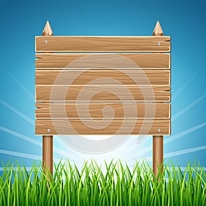 Wooden blank sign board in green grass blue sky