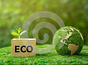 A wooden block text eco next to a grass covered earth set against a green backdrop, Environmental conservation, Eco-friendly