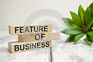 wooden block with text FEATURES OF BUSINESS on white background