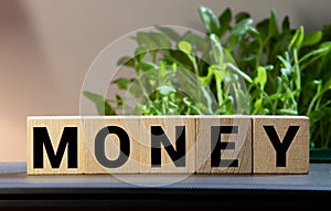 Wooden blocks with the lettering Money on top of ascending bar graphs analyzing the statics