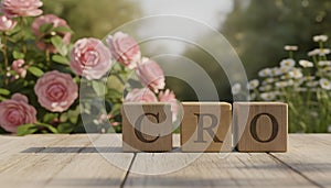 CRO - Conversion Rate Optimization