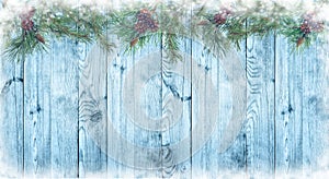 Wooden blue background and a pine branch with cones. Christmas.