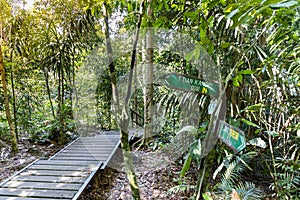 Wooden boadwalk and directional post to Canopy Walk and Teresek Hill at Taman Negara National Park, Pahang photo