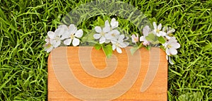 Wooden board and branch of apple tree flower