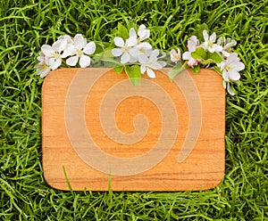 Wooden board and branch of apple tree flower