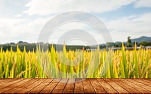 Wooden board empty table on background rice fiel landscape