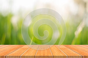 Wooden board empty table in front of blurred background. Perspective brown wood over blur trees in forest - can be used mock up f