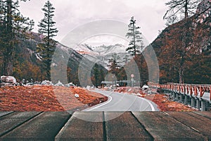 Wooden board empty table in front of blurred background. Perspective brown wood over road in pine trees forest for mock up