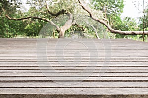 Wooden board empty table in front of blurred background. Perspective grey wood over blur trees in forest - can be used for