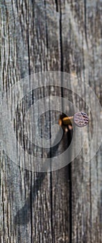 Wooden Board with a rusty nail