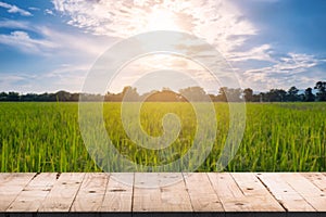 Wooden board table front and blurred background rice field sunlight for product display montages.