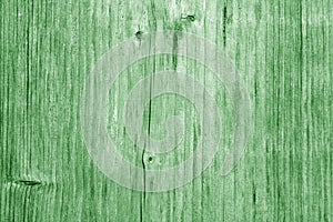 Wooden board texture in green tone