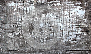 Wooden board tree bark texture scratches paint old photo gray background. Photo.