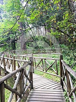 Wooden Board Walk at El ParaÃ­so Park in Cuenca, Ecuador