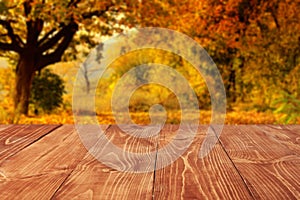 Wooden boards or desktop against blurred autumn forest landscape on background. Use as mockup for display or montage of