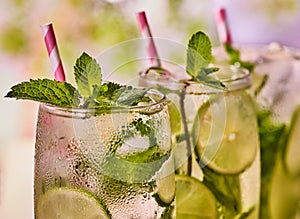 On wooden boards glasses with mohito and mint sprig.