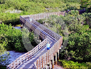 Wooden Boardwalk