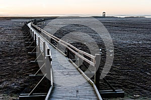 wooden boardwalk with bird watch tower in early morning