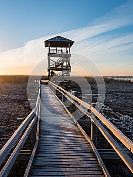 wooden boardwalk with bird watch tower in early morning